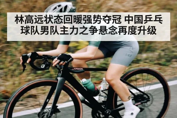 林高远状态回暖强势夺冠 中国乒乓球队男队主力之争悬念再度升级